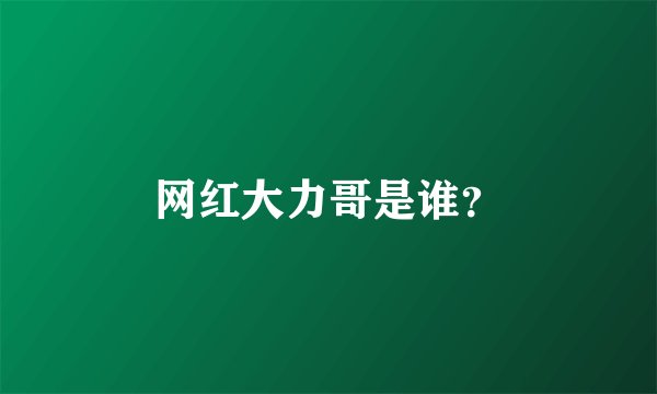 网红大力哥是谁？