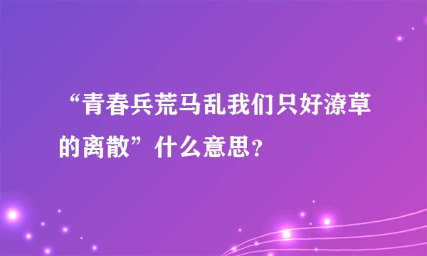“青春兵荒马乱我们只好潦草的离散”什么意思？