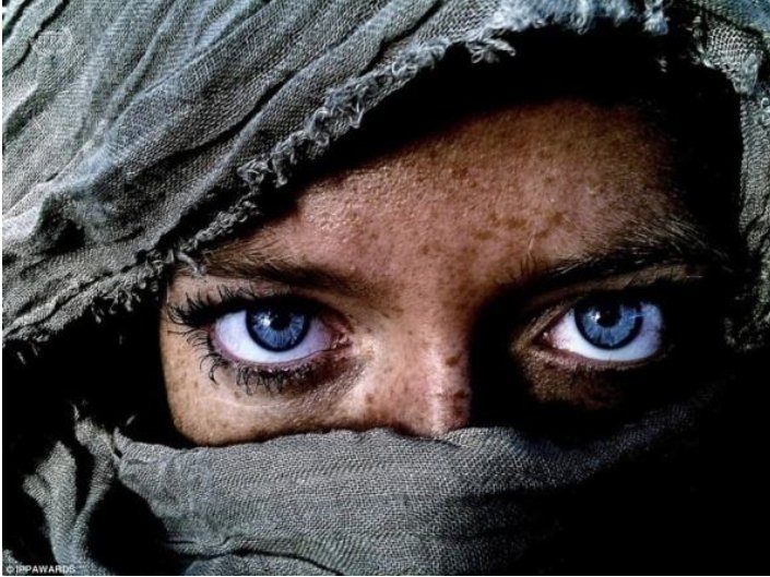 摄影中的阴影高光是什么意思？