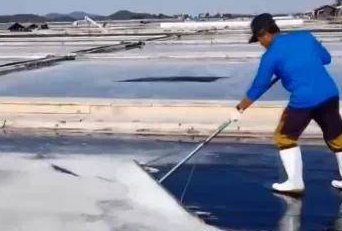 日本核污入海引发韩国抢盐潮，盐对韩国人来说都有哪些重要之处？