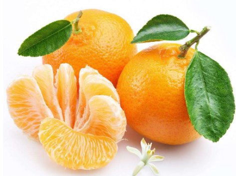 谜底是橘子的谜语