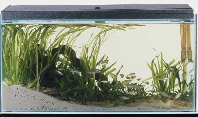 鱼缸用多大的抽水泵怎么算