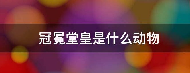 冠冕堂皇是什么动物