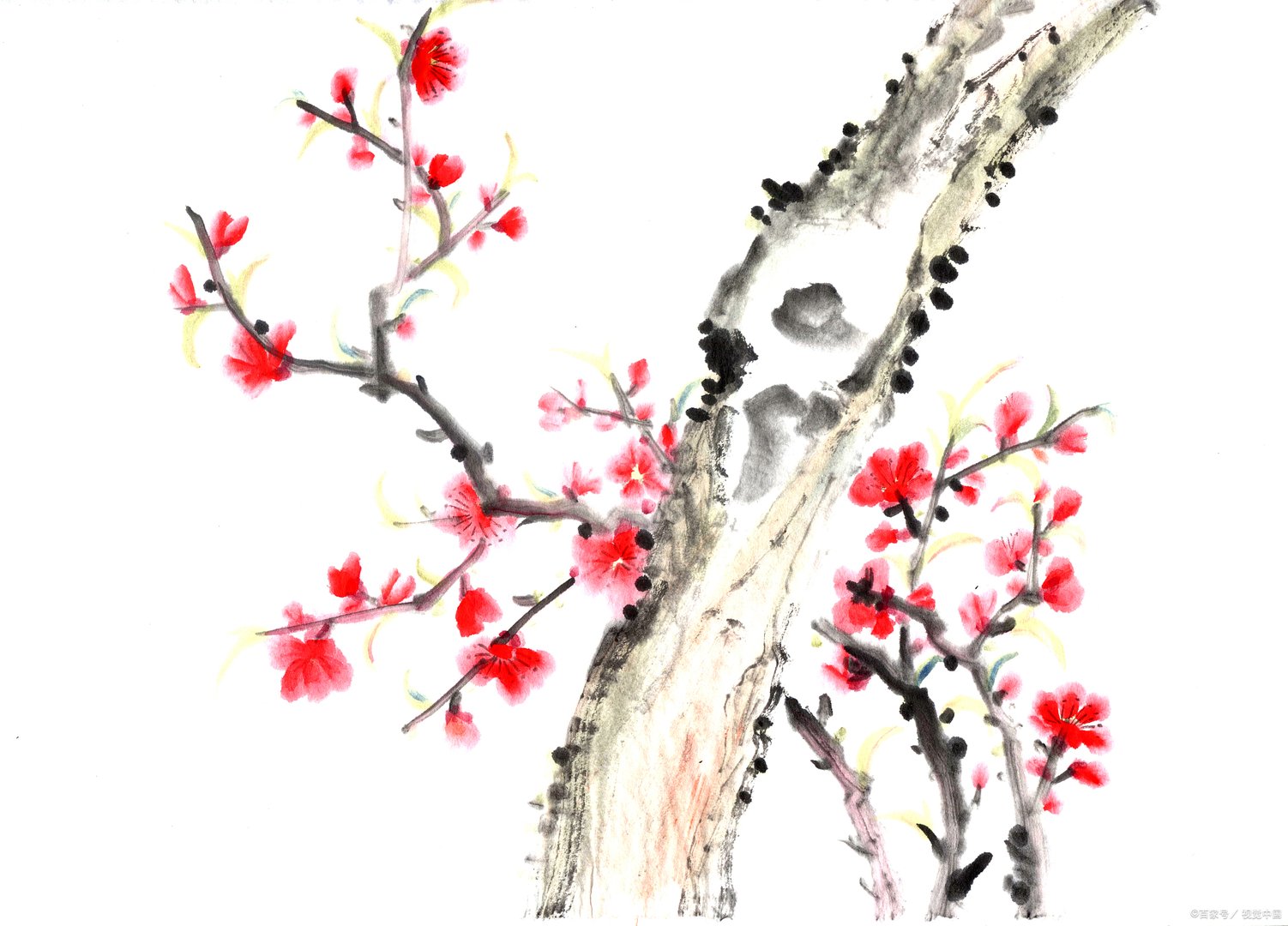 《岁寒三友图》中，有什么植物？