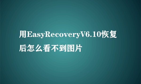 用EasyRecoveryV6.10恢复后怎么看不到图片