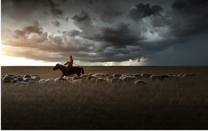 有哪些描写草原的作品？