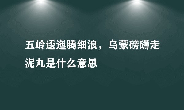 五岭逶迤腾细浪，乌蒙磅礴走泥丸是什么意思
