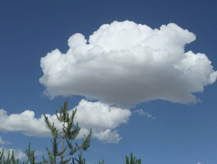 写话：观察天上的云朵,写一段话