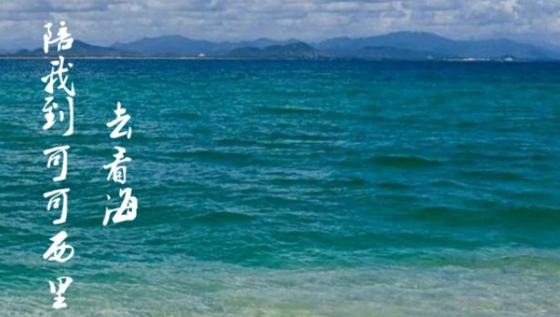 陪我到可可西里看一看海下一句是什么?