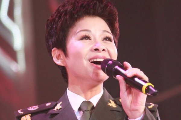 董文华的个人简介是怎样的？