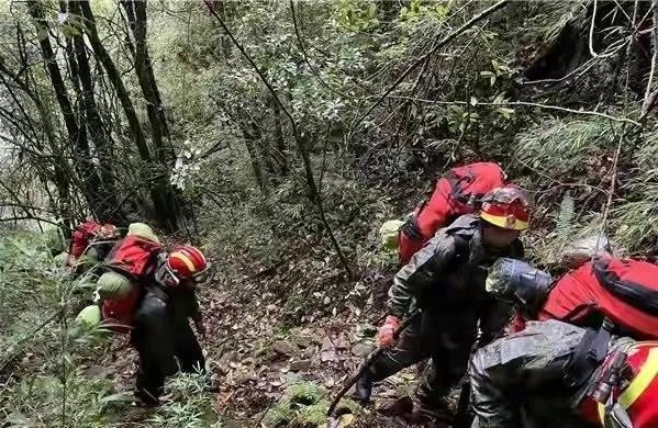 导致哀牢山失联人员遇难原因是什么？