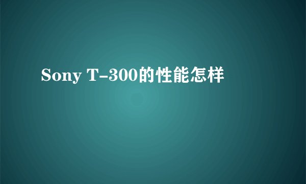 Sony T-300的性能怎样