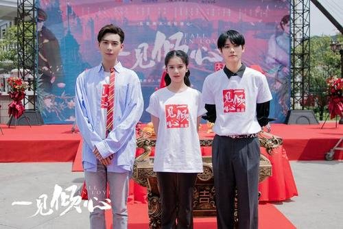 一见倾心电视剧剧情介绍