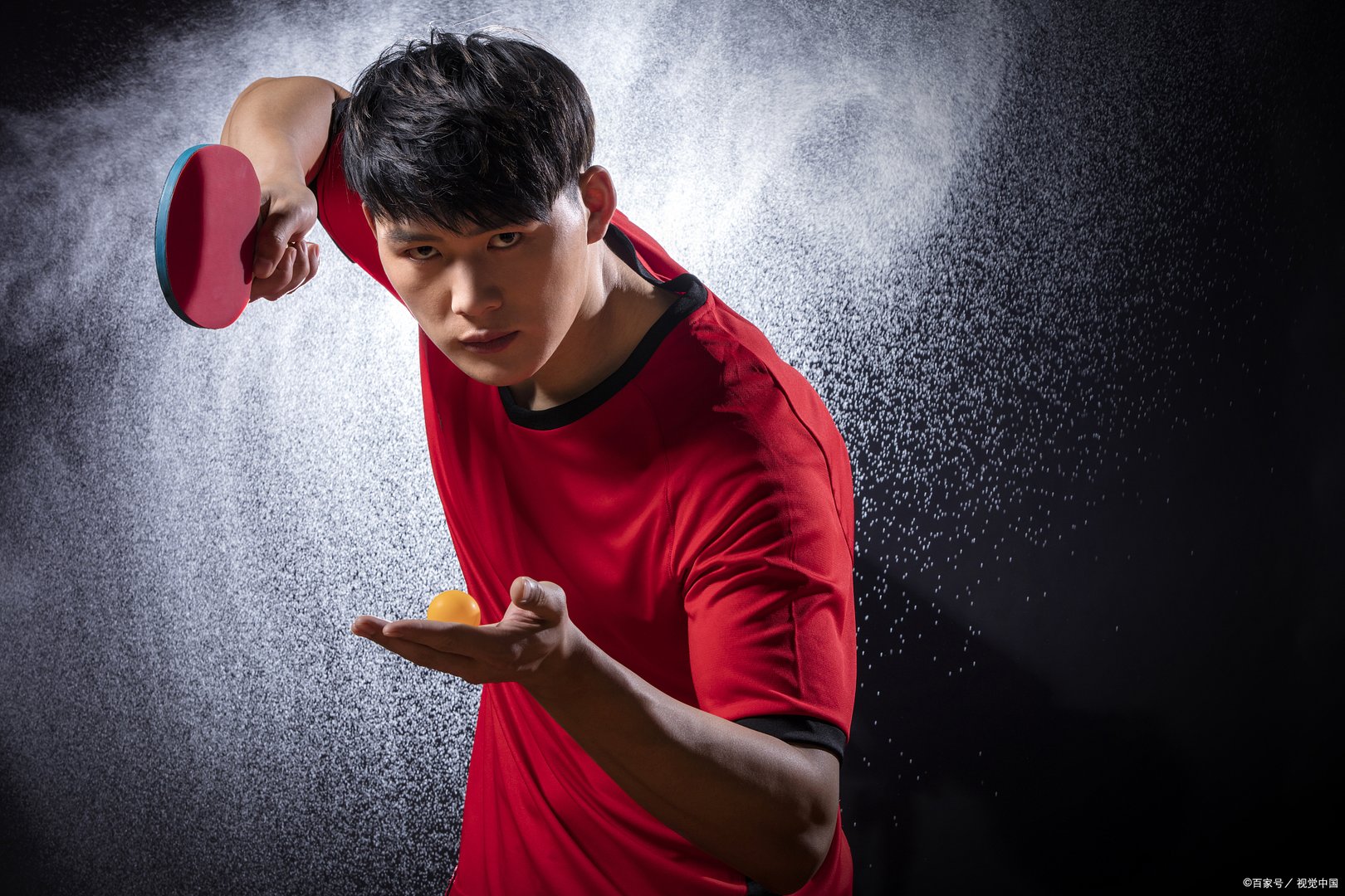 夺金杜建华佳红结局