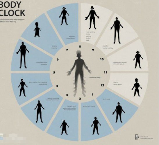 生物钟指的是什么？