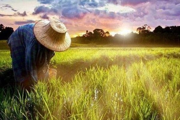 农村创业的好项目有哪些？