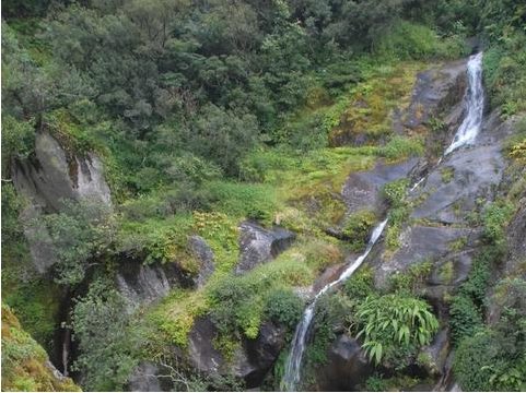 导致哀牢山失联人员遇难原因是什么？