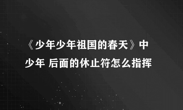 《少年少年祖国的春天》中 少年 后面的休止符怎么指挥