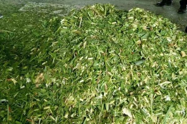 农村创业的好项目有哪些？