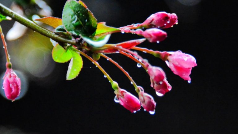 春雨像什么一样轻轻地落到地上拟人句怎么写?