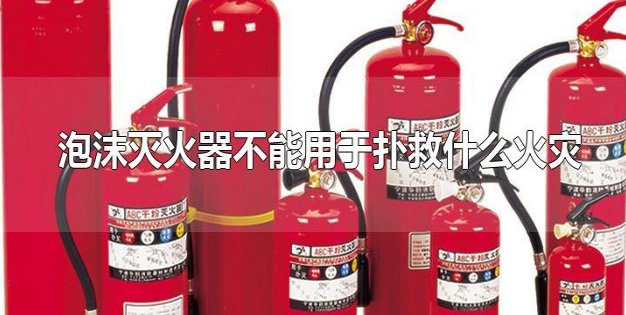 泡沫灭火器不能用于扑救什么火灾?