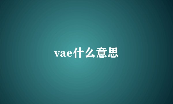 vae什么意思