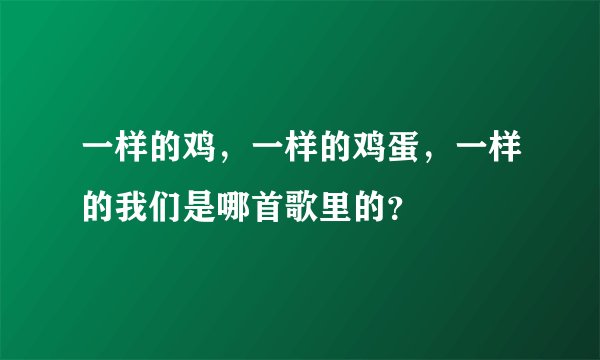 一样的鸡，一样的鸡蛋，一样的我们是哪首歌里的？
