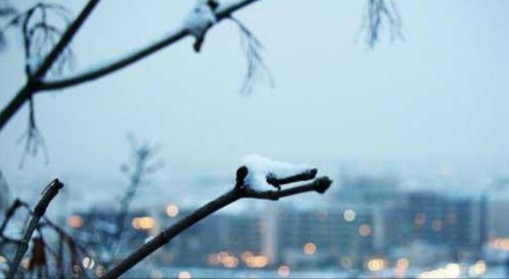 5-10度穿什么衣服?