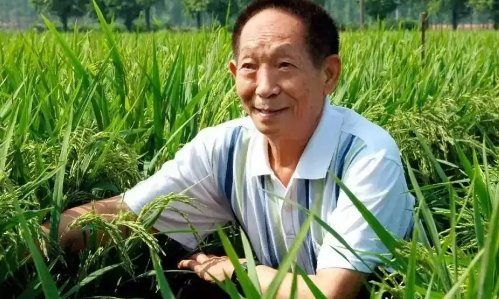 为中国做出贡献的人物有哪些?