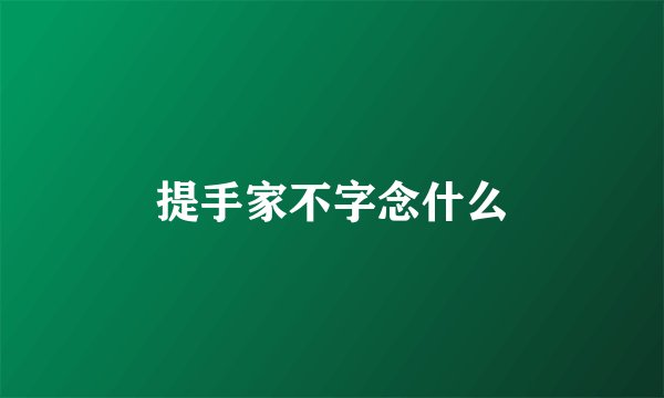 提手家不字念什么