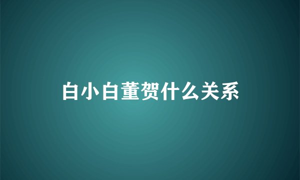 白小白董贺什么关系