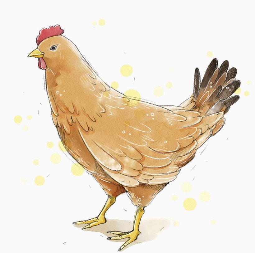 最会察言观色的生肖是什么？