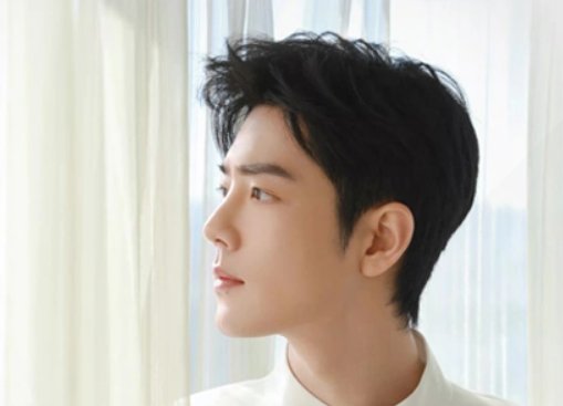 肖战发的绿洲闪闪发亮的大人是什么意思