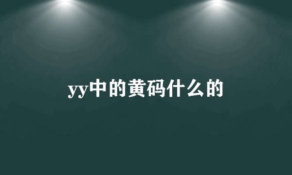 yy中的黄码什么的