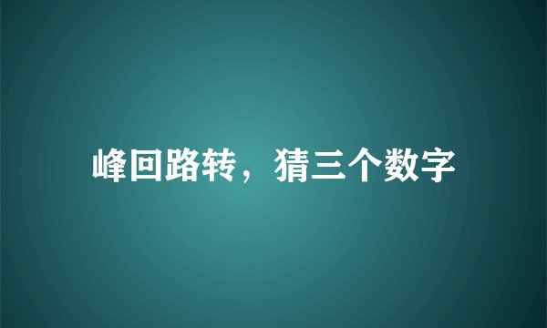 峰回路转，猜三个数字