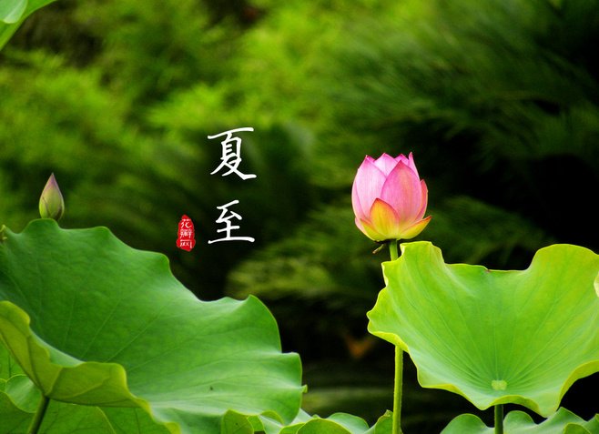 夏至是一年中白昼最长的一天，夏至来了意味着什么？