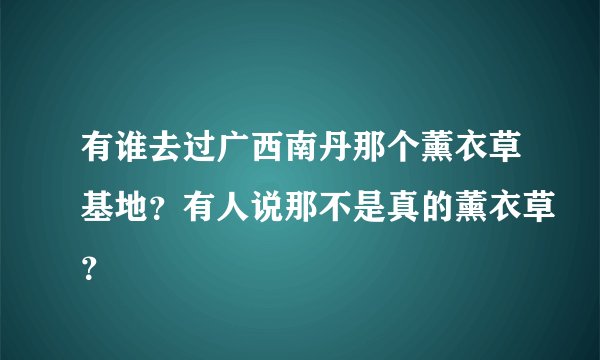 有谁去过广西南丹那个薰衣草基地？有人说那不是真的薰衣草？