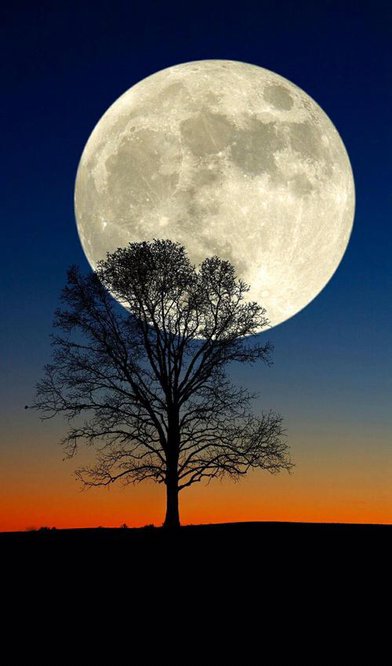 十五的月亮一定是十六圆吗？