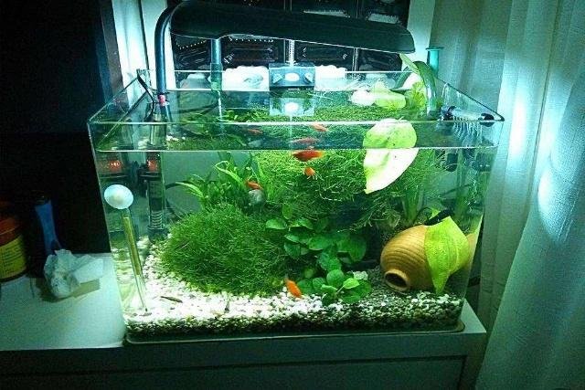 鱼缸用多大的抽水泵怎么算