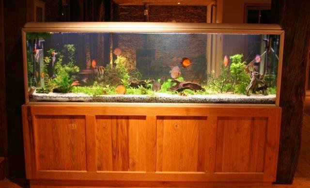 鱼缸用多大的抽水泵怎么算