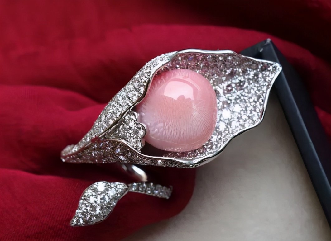 安徽一女子疑吃出稀有昂贵“海螺珠”，价值究竟有多高？