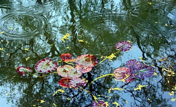 春雨就像什么什么一样轻轻地落到地上如何补充句子？