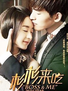 杉杉来了共多少集