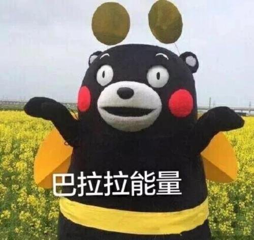 重庆还有一只熊本熊在漂流，熊本熊一路都经历了什么？