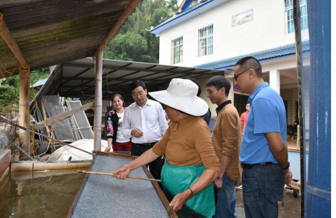 十三五时期,共有多少农村贫困人口实现脱贫