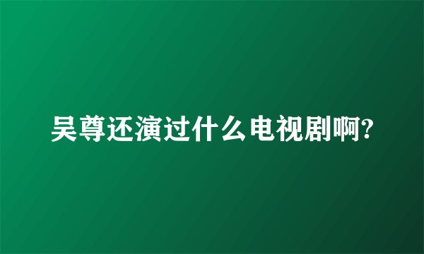 吴尊还演过什么电视剧啊?