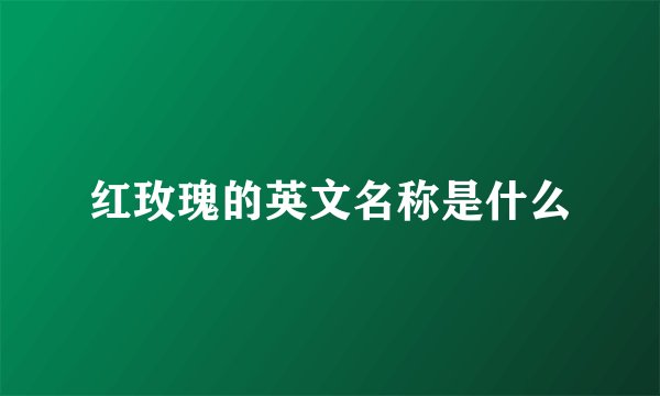 红玫瑰的英文名称是什么