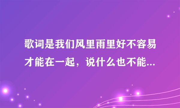歌词是我们风里雨里好不容易才能在一起，说什么也不能让你再离我而去是什么歌