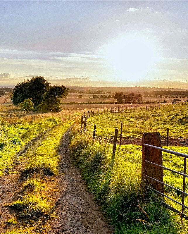 我想2021年七月五号从广州乘火车到河南,需要做核酸检测吗?