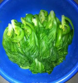 腌酸菜的正确方法应该怎么做？